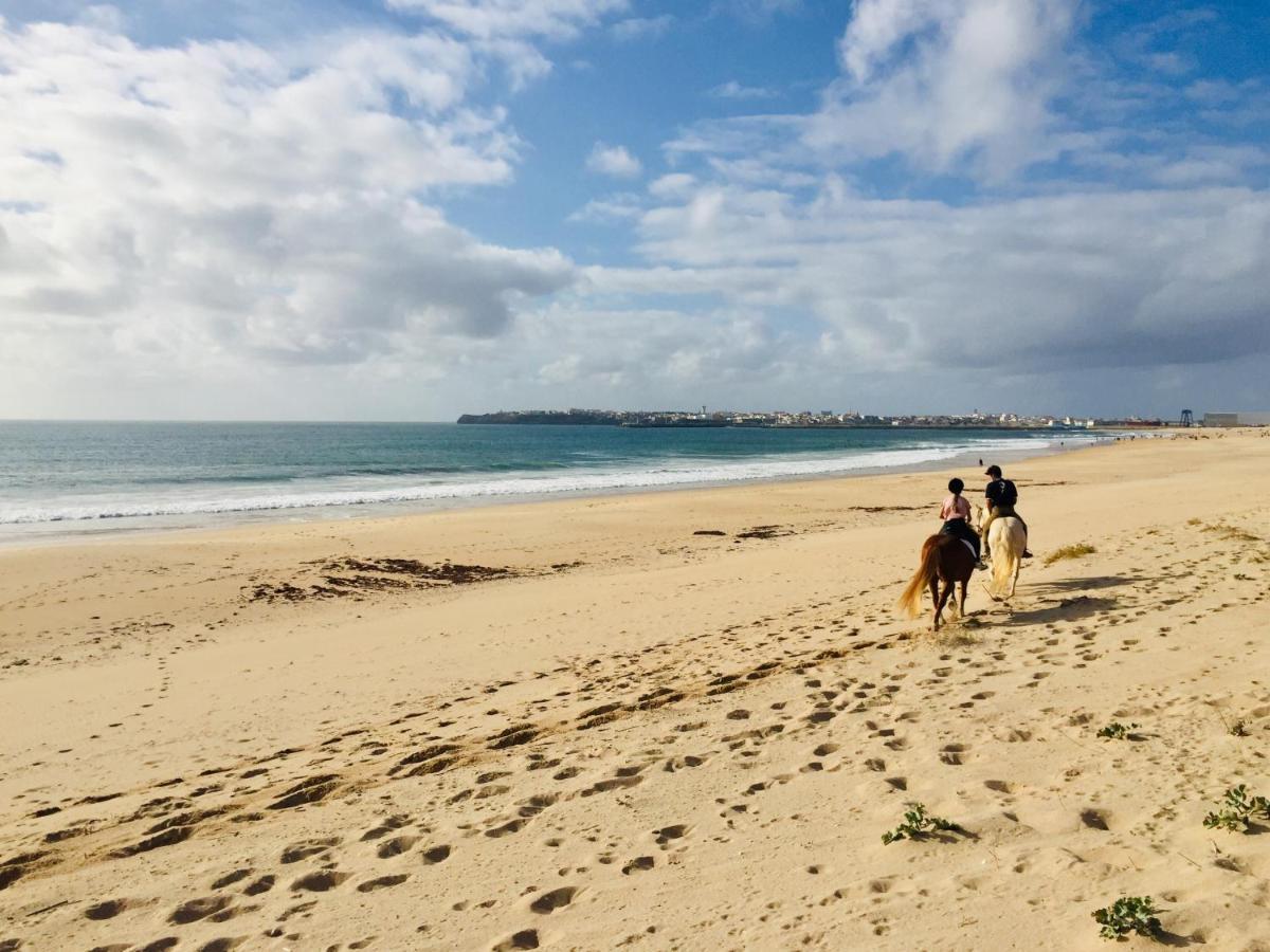 Bigboss Sharko - 400M From The Beach ペニシェ エクステリア 写真